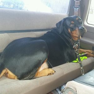 Meet your Posher, Bryan